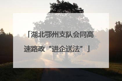 湖北鄂州支队会同高速路政“进企送法”